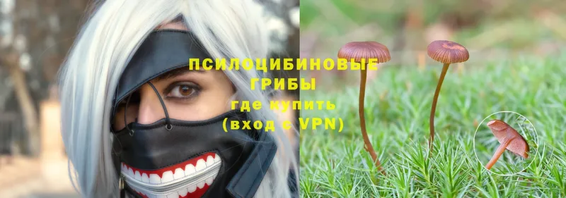 Псилоцибиновые грибы Magic Shrooms  Выкса 